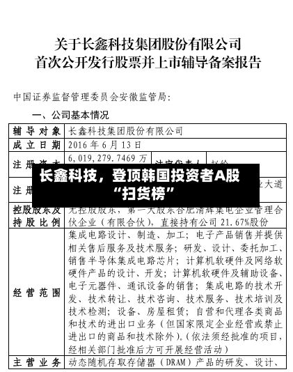 长鑫科技	，登顶韩国投资者A股“扫货榜”-第2张图片