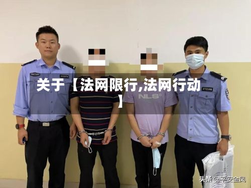 关于【法网限行,法网行动】