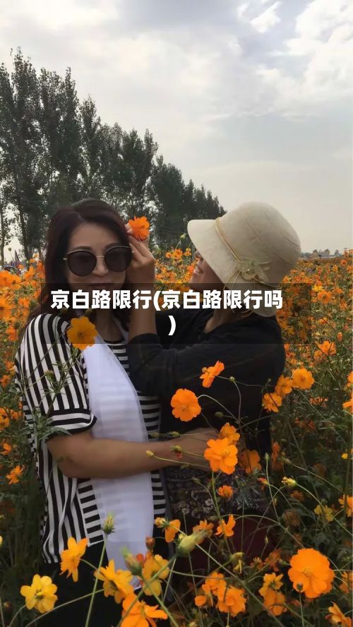 京白路限行(京白路限行吗)