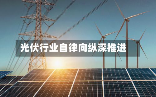 光伏行业自律向纵深推进-第2张图片