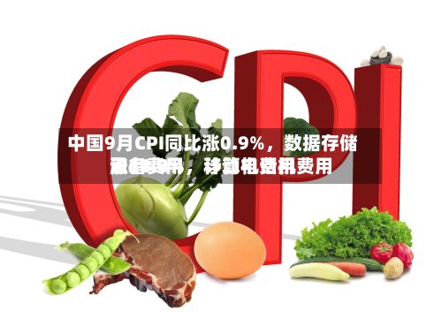 中国9月CPI同比涨0.9%，数据存储设备费用涨46.7%，计算机费用涨21.8%，移动电话机费用涨14.9%