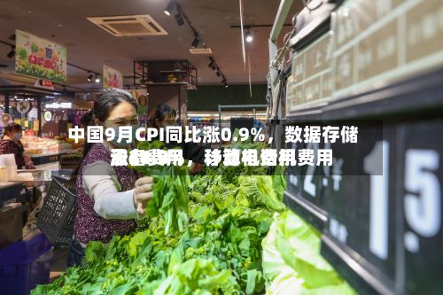 中国9月CPI同比涨0.9%	，数据存储设备费用涨46.7%，计算机费用涨21.8%，移动电话机费用涨14.9%-第2张图片