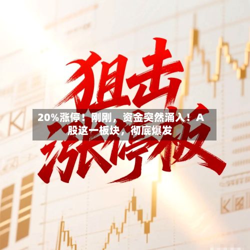 20%涨停！刚刚，资金突然涌入！A股这一板块，彻底爆发