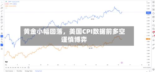 黄金小幅回落，美国CPI数据前多空谨慎博弈-第2张图片