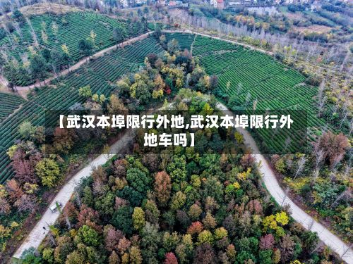【武汉本埠限行外地,武汉本埠限行外地车吗】-第2张图片