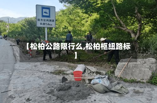 【松柏公路限行么,松柏枢纽路标】-第2张图片