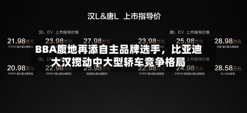 BBA腹地再添自主品牌选手，比亚迪大汉搅动中大型轿车竞争格局-第2张图片