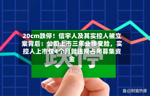20cm跌停！信宇人及其实控人被立案背后：公司上市三年业绩变脸	，实控人上市仅4个月就违规占用募集资金-第2张图片