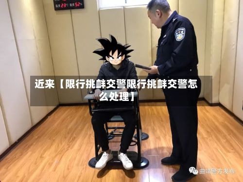 近来【限行挑衅交警限行挑衅交警怎么处理】-第2张图片