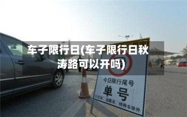 车子限行日(车子限行日秋涛路可以开吗)-第3张图片