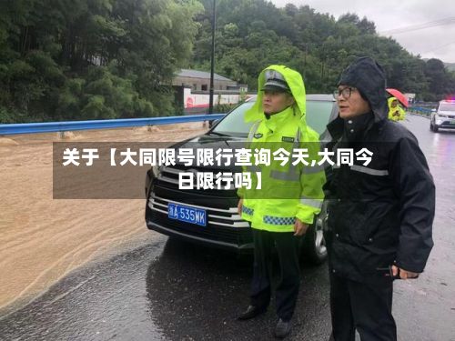 关于【大同限号限行查询今天,大同今日限行吗】-第2张图片