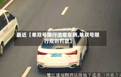 最近【单双号限行违章车辆,单双号限行规则罚款】-第3张图片