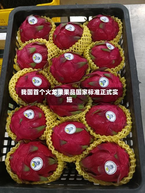 我国首个火龙果果品国家标准正式实施-第3张图片