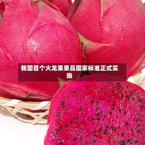 我国首个火龙果果品国家标准正式实施-第2张图片