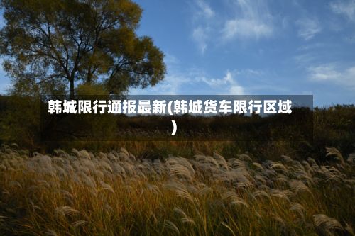 韩城限行通报最新(韩城货车限行区域)-第2张图片