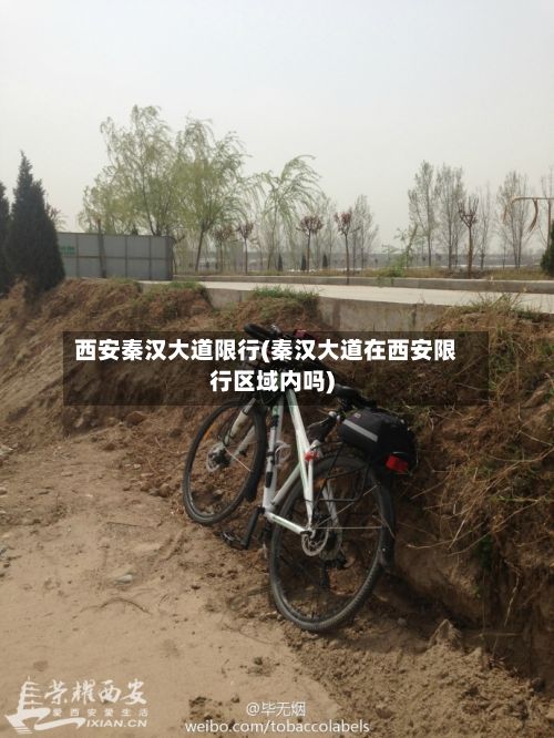 西安秦汉大道限行(秦汉大道在西安限行区域内吗)