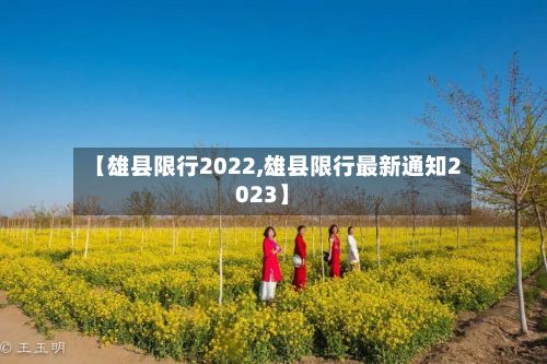 【雄县限行2022,雄县限行最新通知2023】-第3张图片