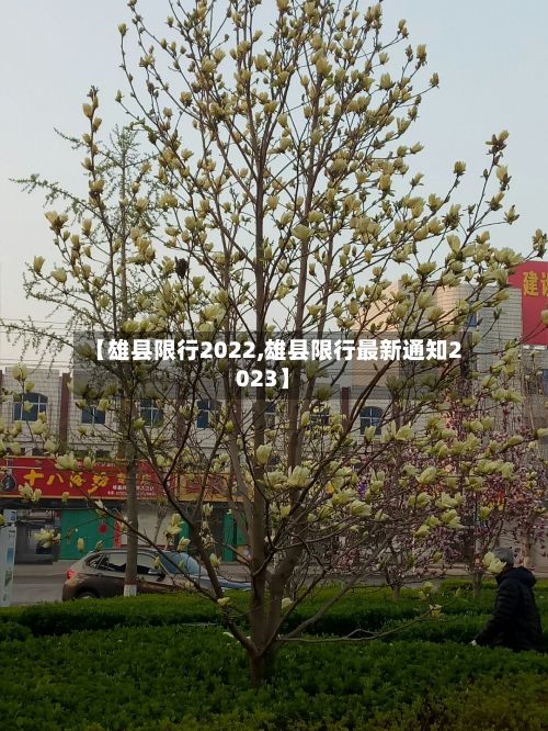 【雄县限行2022,雄县限行最新通知2023】