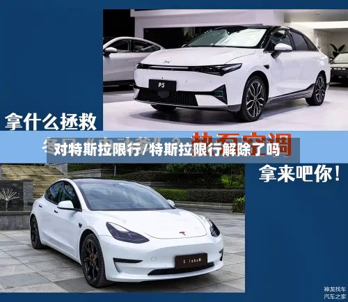 对特斯拉限行/特斯拉限行解除了吗