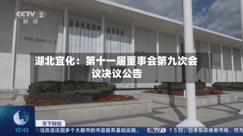 湖北宜化：第十一届董事会第九次会议决议公告