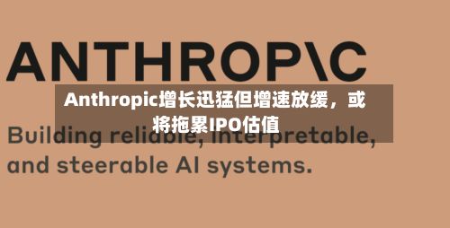 Anthropic增长迅猛但增速放缓，或将拖累IPO估值-第2张图片