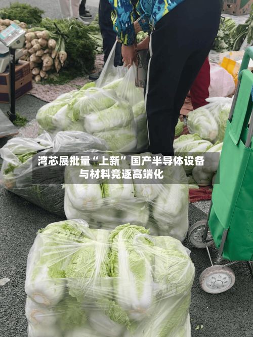 湾芯展批量“上新	” 国产半导体设备与材料竞逐高端化-第3张图片