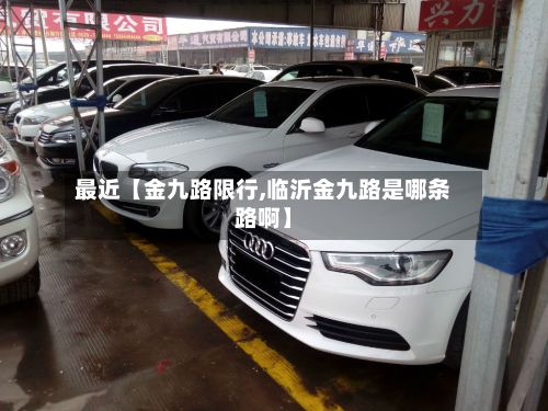 最近【金九路限行,临沂金九路是哪条路啊】