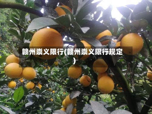 赣州崇义限行(赣州崇义限行规定)-第2张图片