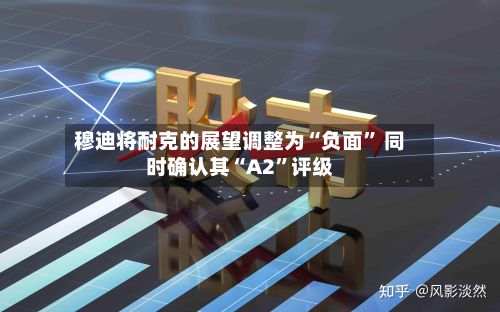 穆迪将耐克的展望调整为“负面” 同时确认其“A2”评级-第3张图片