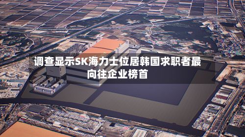 调查显示SK海力士位居韩国求职者最向往企业榜首-第3张图片