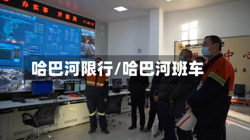 哈巴河限行/哈巴河班车-第2张图片