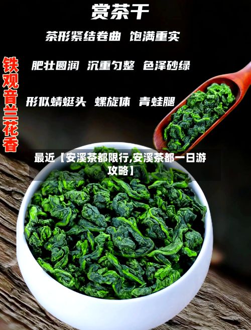 最近【安溪茶都限行,安溪茶都一日游攻略】