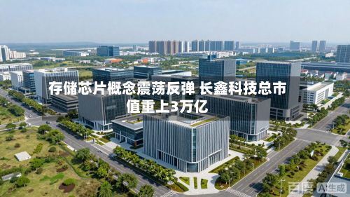 存储芯片概念震荡反弹 长鑫科技总市值重上3万亿-第1张图片