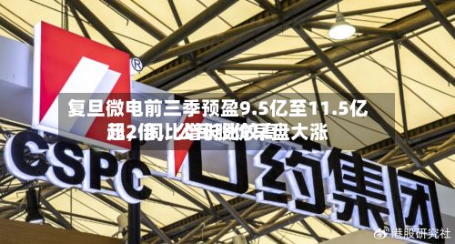 复旦微电前三季预盈9.5亿至11.5亿元，同比增长比较高超2倍，公司股价早盘大涨-第2张图片
