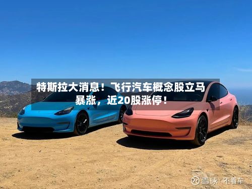 特斯拉大消息！飞行汽车概念股立马暴涨，近20股涨停！-第3张图片