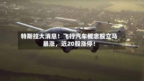 特斯拉大消息！飞行汽车概念股立马暴涨，近20股涨停！-第2张图片
