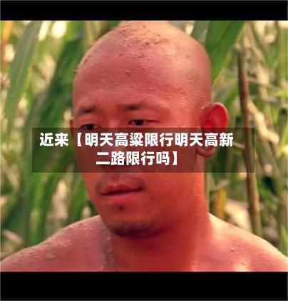 近来【明天高粱限行明天高新二路限行吗】-第2张图片