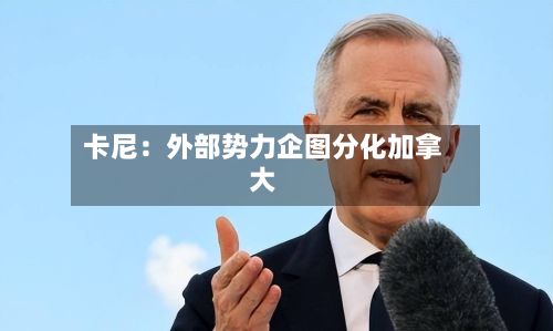 卡尼：外部势力企图分化加拿大