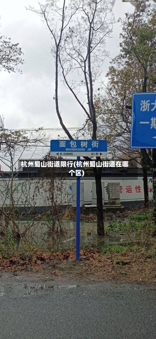 杭州蜀山街道限行(杭州蜀山街道在哪个区)