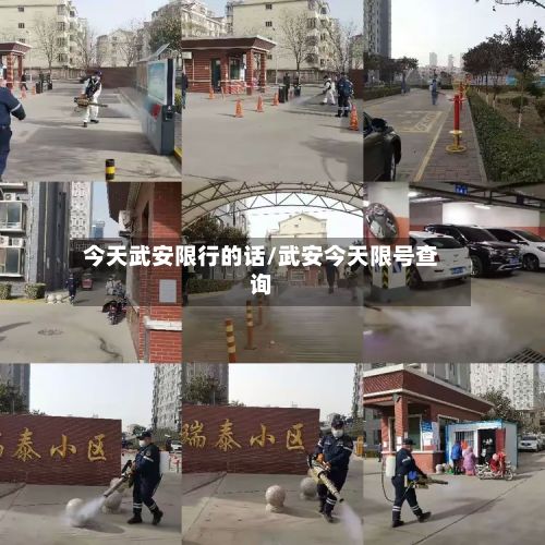 今天武安限行的话/武安今天限号查询-第2张图片