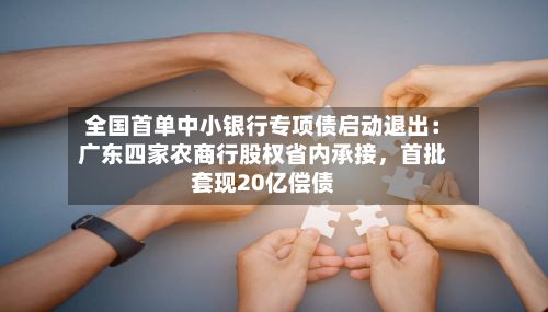 全国首单中小银行专项债启动退出：广东四家农商行股权省内承接，首批套现20亿偿债-第2张图片