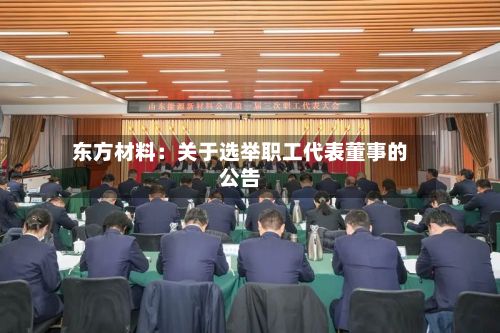 东方材料：关于选举职工代表董事的公告-第2张图片