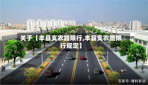 关于【丰县支农路限行,丰县支农路限行规定】-第3张图片
