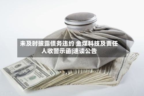 未及时披露债务违约 金煤科技及责任人收警示函|速读公告-第2张图片