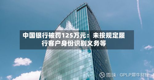 中国银行被罚125万元:未按规定履行客户身份识别义务等-第2张图片