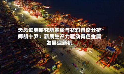 天风证券研究所金属与材料首席分析师胡十尹：新质生产力驱动有色金属发展迎新机