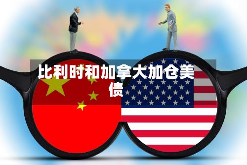 比利时和加拿大加仓美债-第1张图片