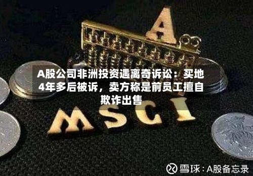 A股公司非洲投资遇离奇诉讼：买地4年多后被诉，卖方称是前员工擅自欺诈出售-第1张图片