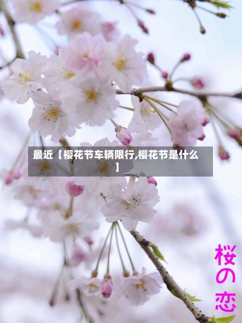 最近【樱花节车辆限行,樱花节是什么】