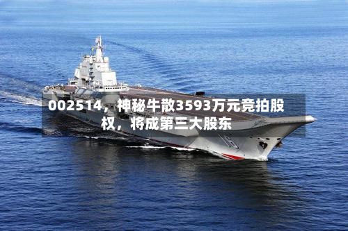 002514	，神秘牛散3593万元竞拍股权，将成第三大股东-第1张图片